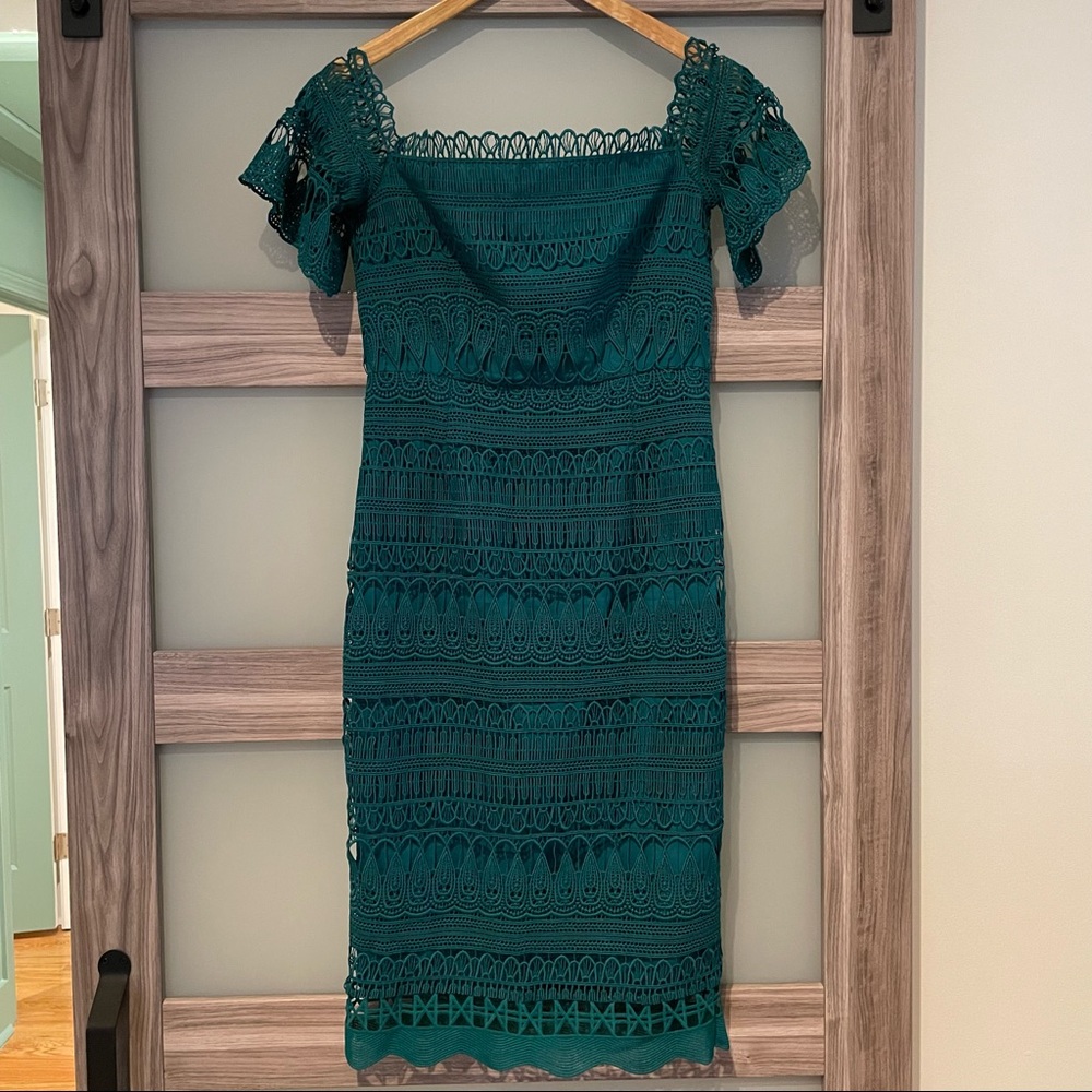 gorgeous green lace form fitting midi free people dress